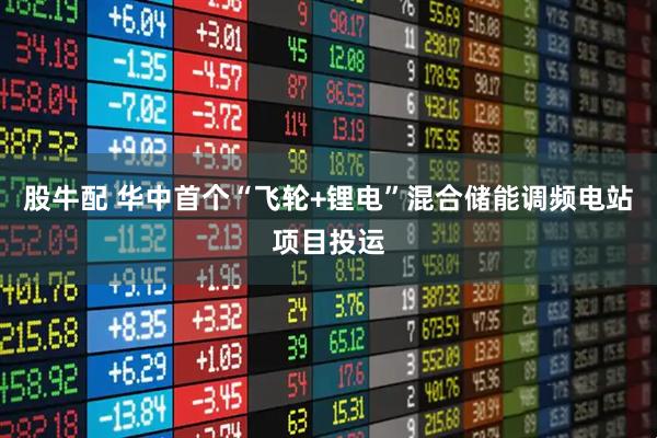 股牛配 华中首个“飞轮+锂电”混合储能调频电站项目投运