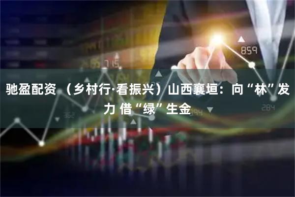 驰盈配资 （乡村行·看振兴）山西襄垣：向“林”发力 借“绿”生金