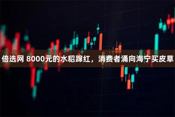 倍选网 8000元的水貂蹿红，消费者涌向海宁买皮草