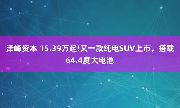 泽峰资本 15.39万起!又一款纯电SUV上市，搭载64.4度大电池