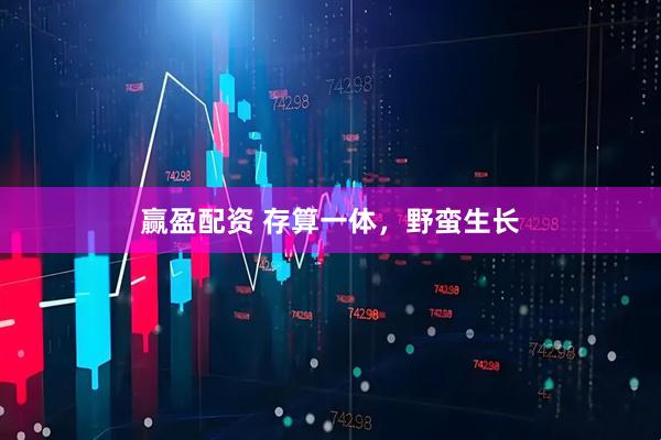赢盈配资 存算一体，野蛮生长