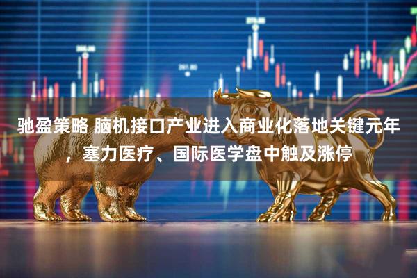 驰盈策略 脑机接口产业进入商业化落地关键元年，塞力医疗、国际医学盘中触及涨停