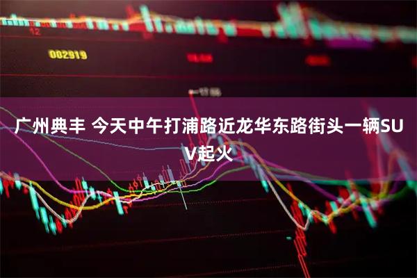 广州典丰 今天中午打浦路近龙华东路街头一辆SUV起火