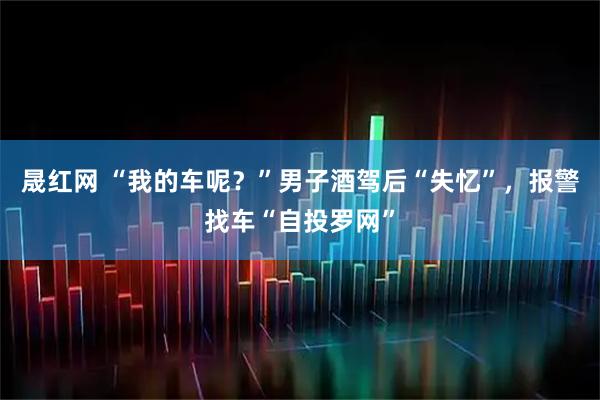 晟红网 “我的车呢？”男子酒驾后“失忆”，报警找车“自投罗网”